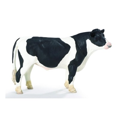 Taureau Holstein