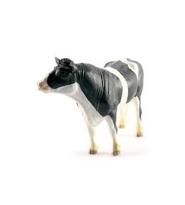 Taureau Holstein