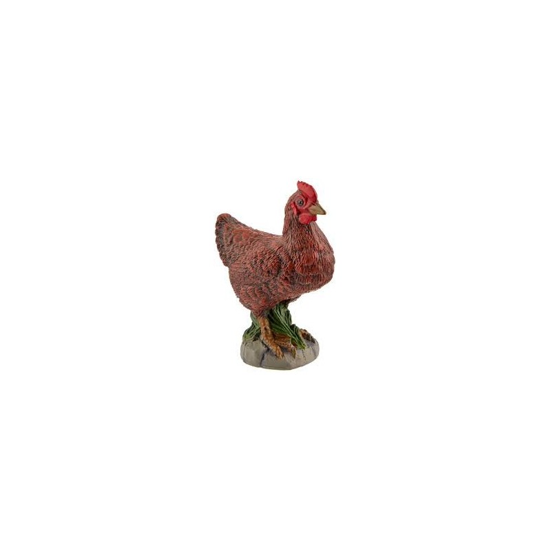 POule Bantam