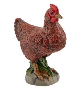 POule Bantam