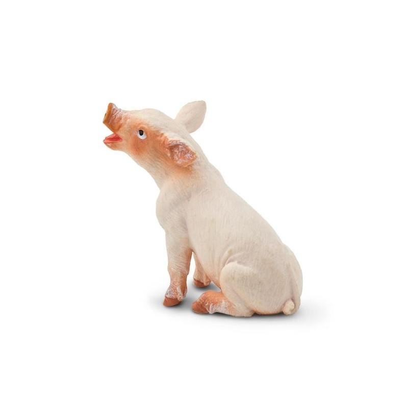 Porcelet assis