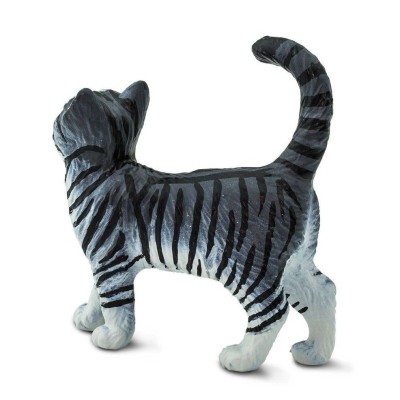 Chat tigré gris