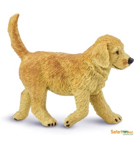 Golden Retriever chiot