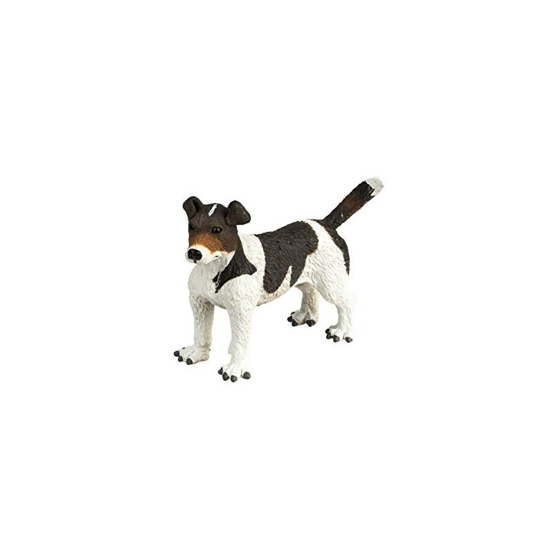 Jack Russell Terrier