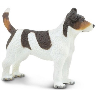 Jack Russell Terrier