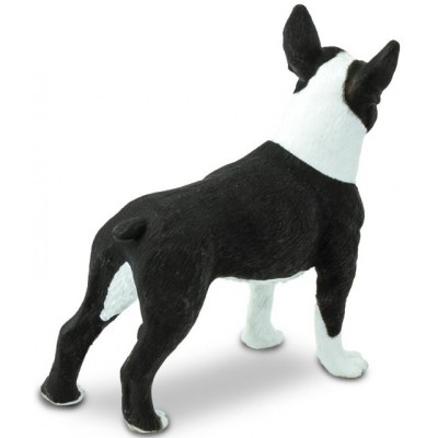 Terrier de Boston