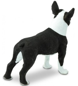 Terrier de Boston