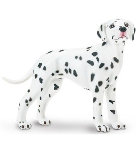 Dalmatien