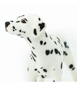 Dalmatien