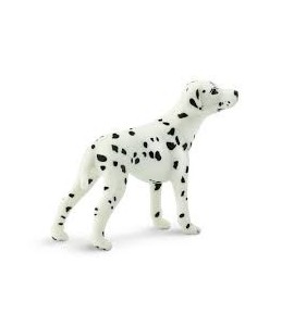 Dalmatien