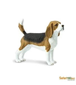 Beagle