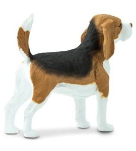 Beagle