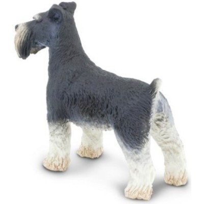 Schnauzer