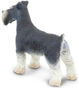 Schnauzer