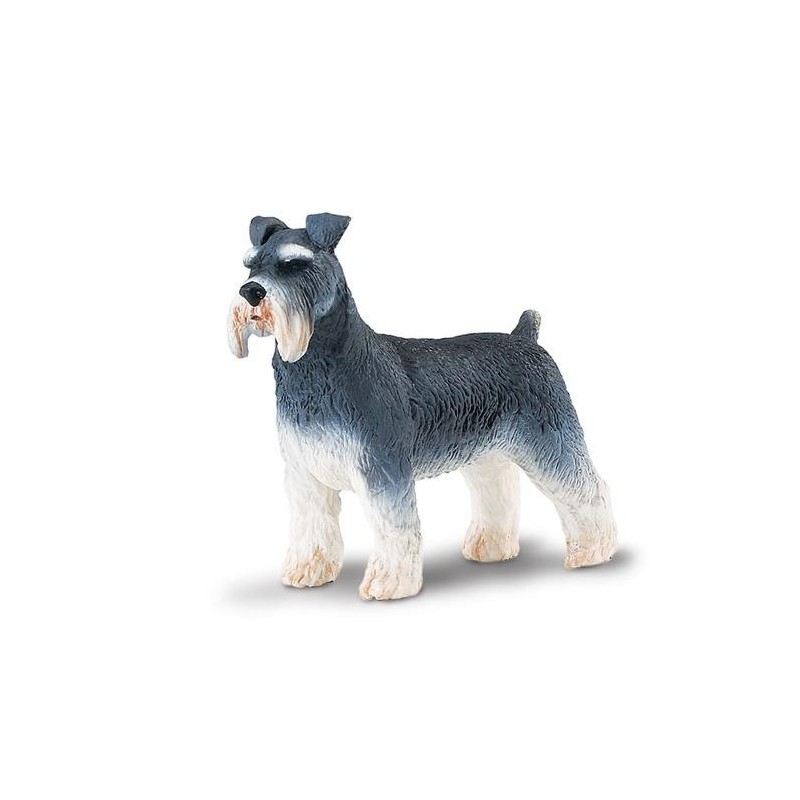 Schnauzer