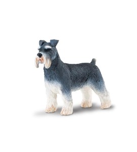 Schnauzer