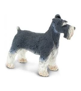 Schnauzer