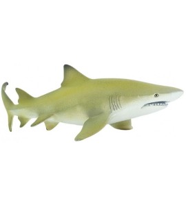 Requin citron