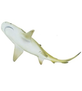 Requin citron