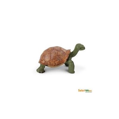 Tortue géante