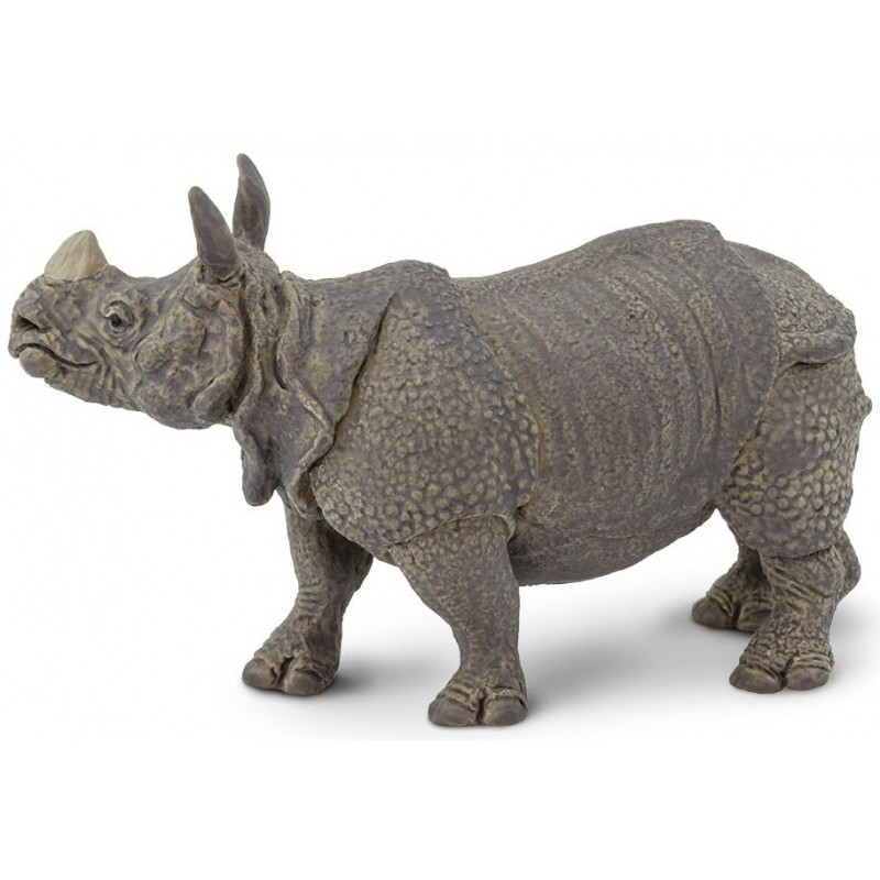 Rhinocéros Indien