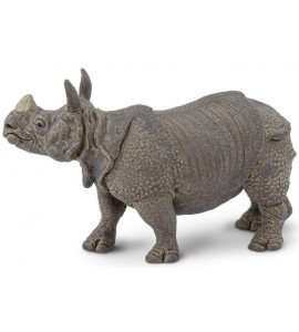 Rhinocéros Indien