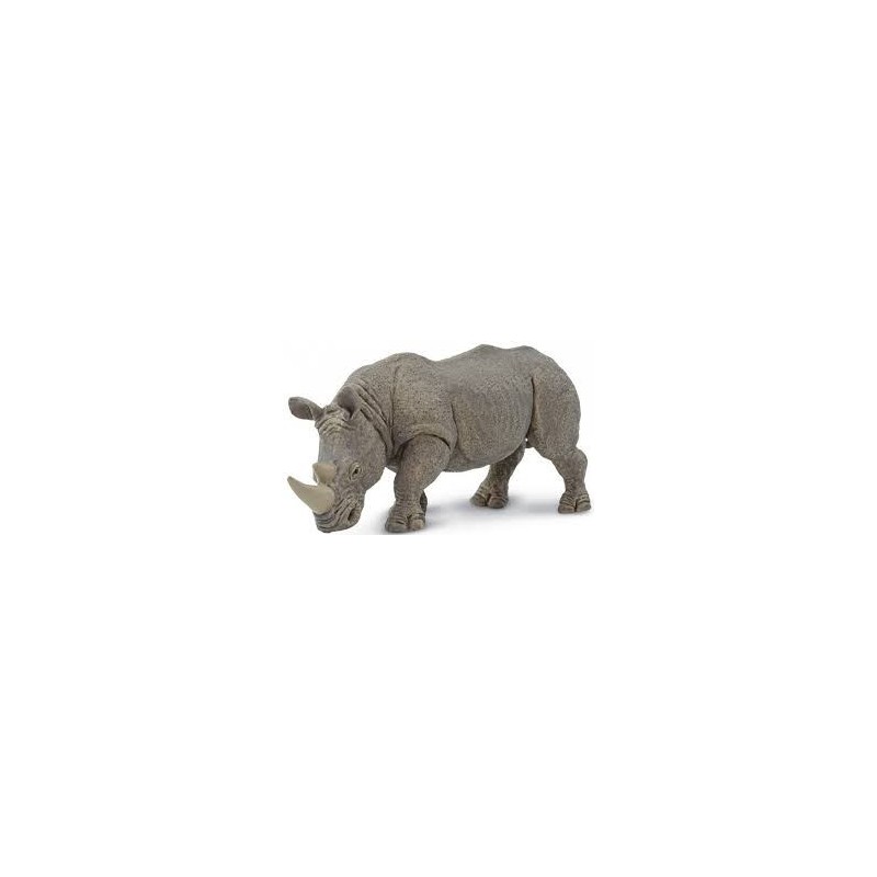 Rhinocéros blanc