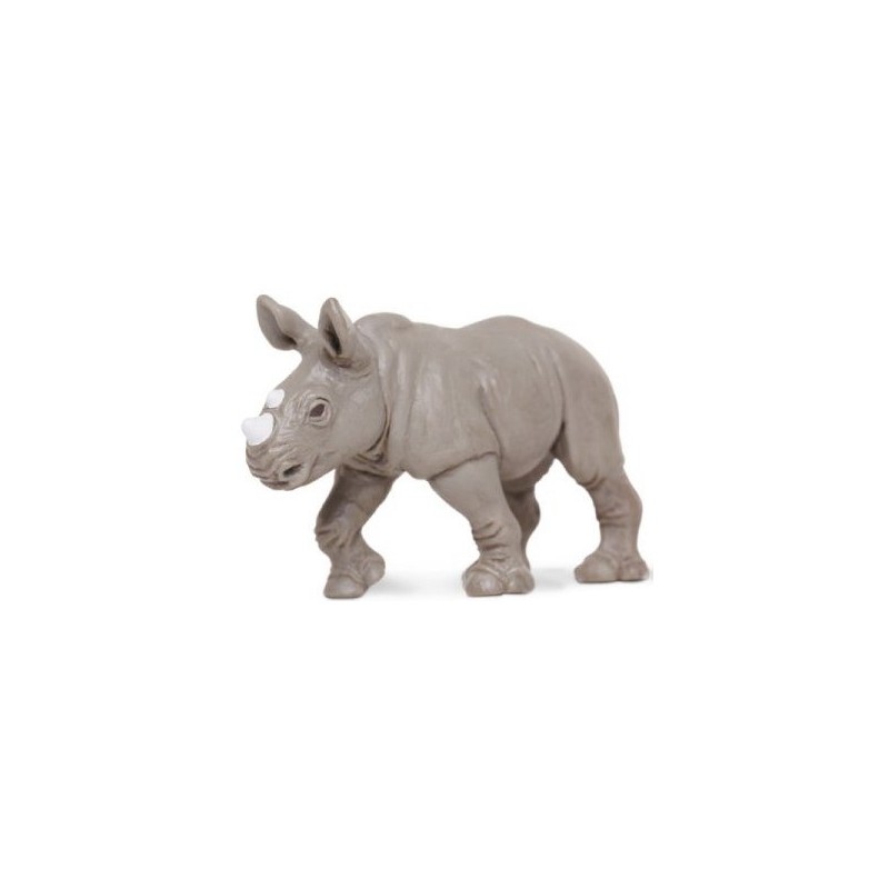 Rhinocéros blanc bébé