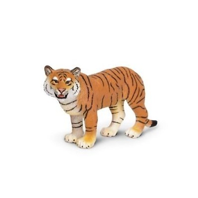 Tigresse du Bengale