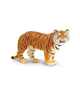 Tigresse du Bengale