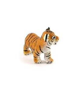 bébé tigre du Bengale