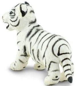 bébé tigre blanc du Bengale
