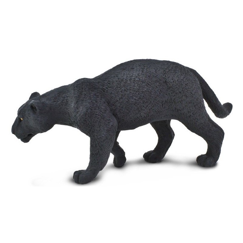 Jaguar noir