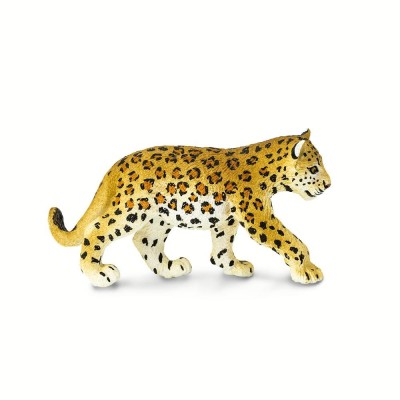 bébé léopard