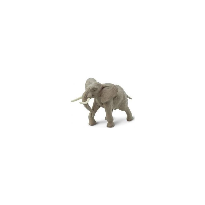 Éléphant d'Afrique