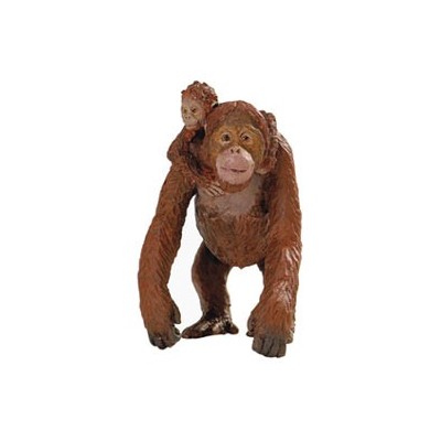 Orang-Outan avec bébé