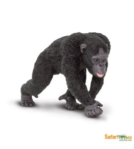 Chimpanzé