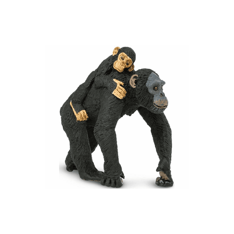 Chimpanzé avec son bébé