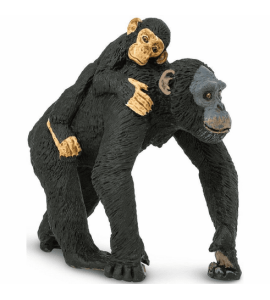 Chimpanzé avec son bébé