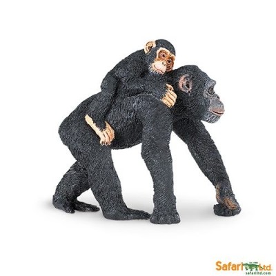 Chimpanzé avec son bébé