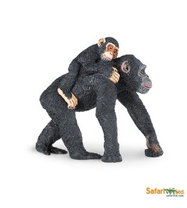 Chimpanzé avec son bébé