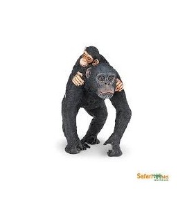 Chimpanzé avec son bébé