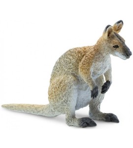 Wallaby