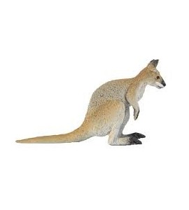 Wallaby