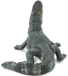 Aligator