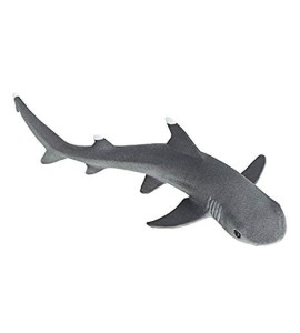 Requin des récifs à pointes blanches