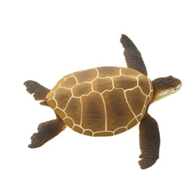 Tortue verte