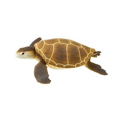 Tortue verte