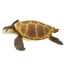 Tortue verte