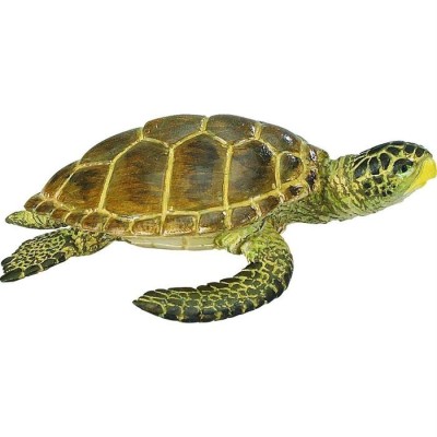 Tortue Caouanne